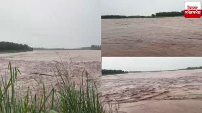  Ravi river Gurdaspur News