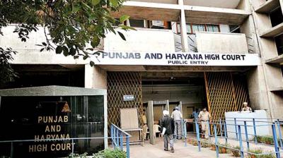 Punjab Haryana Highcourt News
