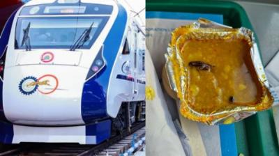 Cockroach in IRCTC Food