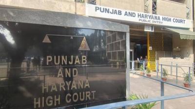 Punjab Haryana High Court News
