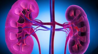 The number of TB patients increased in india News