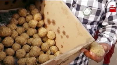 Kuwait sheikhs send Pinni langar to farmers sitting on dharna in cold weather