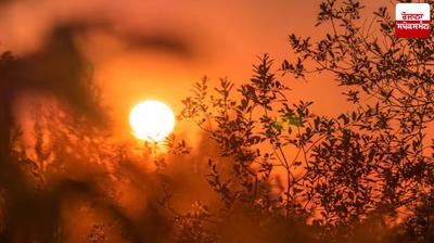 Punjab Weather Update