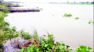 Bad Condition Of River
