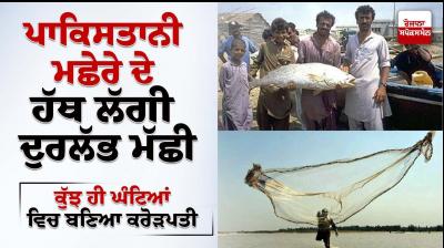 Pakistani fisherman becomes millionaire overnight