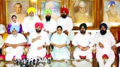 AAP Members Strategy 