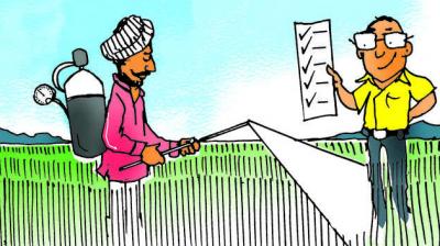 Punjab gears up to produce pesticide-free basmati