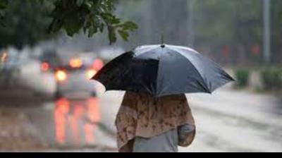 Punjab Weather Update 