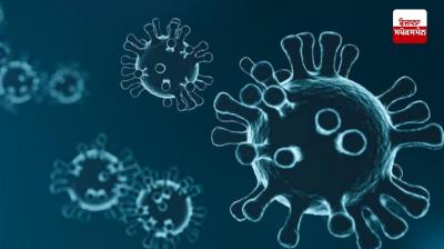 Corona Virus India Update News