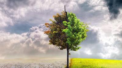 Environmental changes