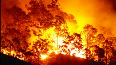 Fire in Australia