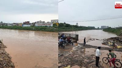 Ghaggar River Water level today news in punjabi