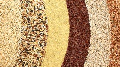 ਵੱਖੋ–ਵੱਖਰੇ ਅਨਾਜ।