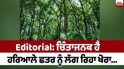 India Forest Greenery Editorial in punjabi 