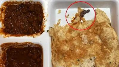 Cockroach food came out of the restaurant located in Elante, customer complained