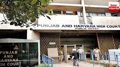 The big decision of the High Court regarding Panchayat elections