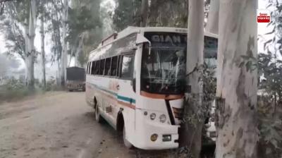 Punjab Road Accident