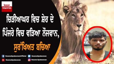 Man jumps inside lion enclosure in Delhi zoo; escapes unhurt