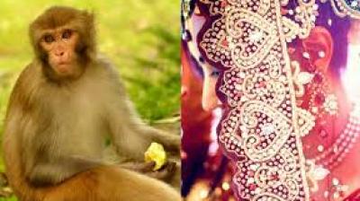 Ratanpur Bihar Monkey girl wedding