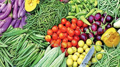 This is the right time to plant vegetables