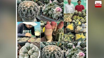 Tanveer cactus News