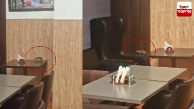 Amritsar airport Rats News