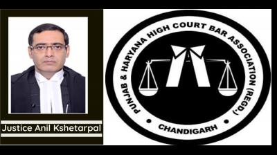  Lawyers of Punjab Haryana High Court boycotted court number 16