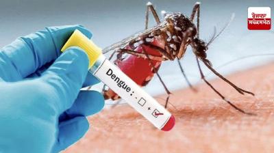 Dengue Fever