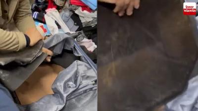 Cocaine worth 82.448 crore recovered at IGI airport News in punjabi 