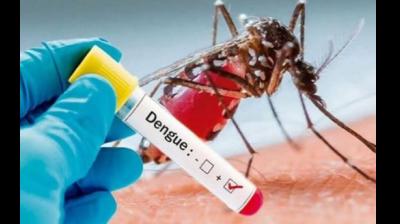 first dengue death 