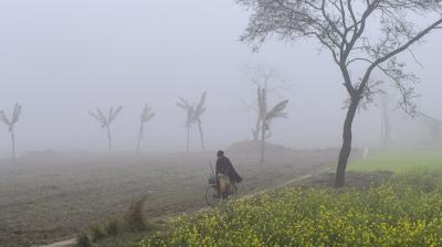 Punjab Weather Update