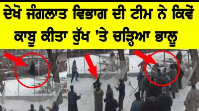 Forestry Department team