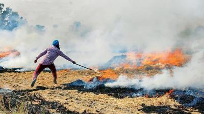 Paddy Stubble Burning 
