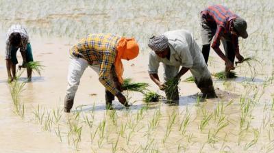 ਫਾਈਲ ਫੋਟੋ 