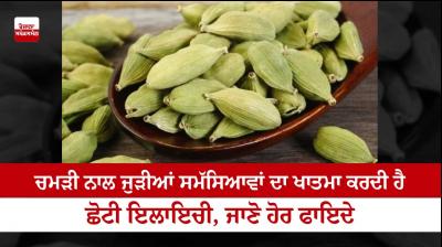 Cardamom benefits for skin