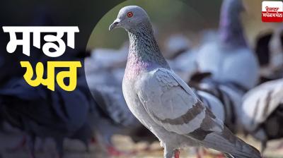 Our Home Special Article in punjabi 