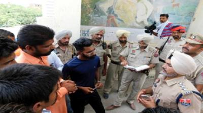 Cow Carcasses found, Abohar Tense 