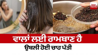 Boiled tea leaves are a panacea for hair Beauty Tips