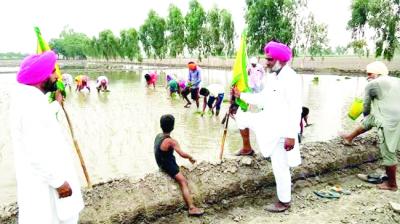 BKU L eaders Holding Flag.