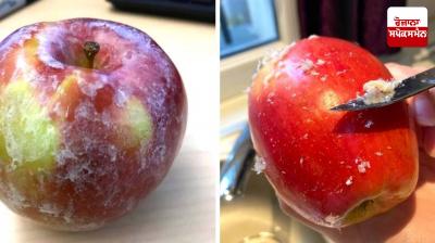 How to remove wax from apples Health News