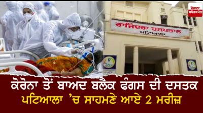 Black fungus patients report at Government Rajindra Hospital