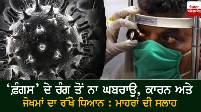 Fungus colour should not lead to panic, look for causes and risks