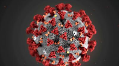 coronavirus