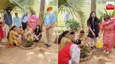 Tree plantation drive