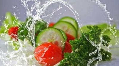 WHO released guidelines 