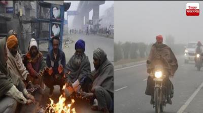 Punjab Weather Update Yellow Alert for dense fog Latest news in punjabi