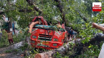 UP: Tree falls on bus on Barabanki-Haidergarh road, 5 people killed