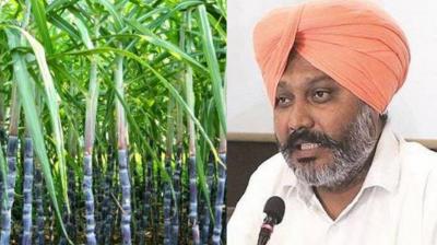 Taskforce to be set up to increase income of sugarcane farmers - Harpal Singh Cheema