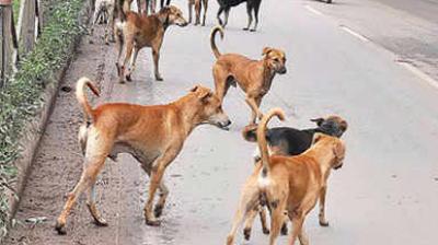 Image: For representation purpose only. 