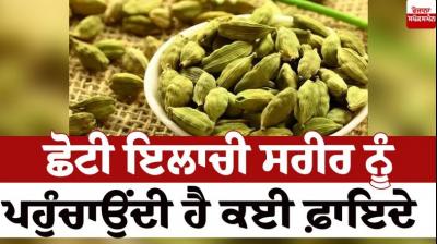  Small cardamom benefits health News in punjabi
